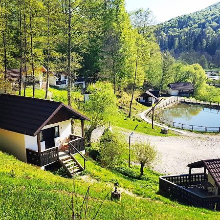Hotel Satu Muscelean Albestii de Muscel Exteriér fotografie