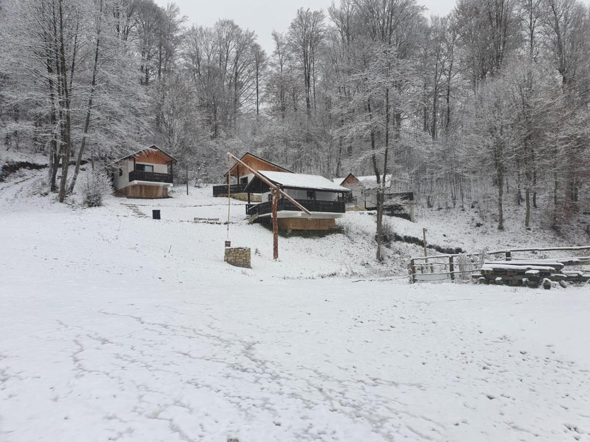 Hotel Satu Muscelean Albestii de Muscel Exteriér fotografie