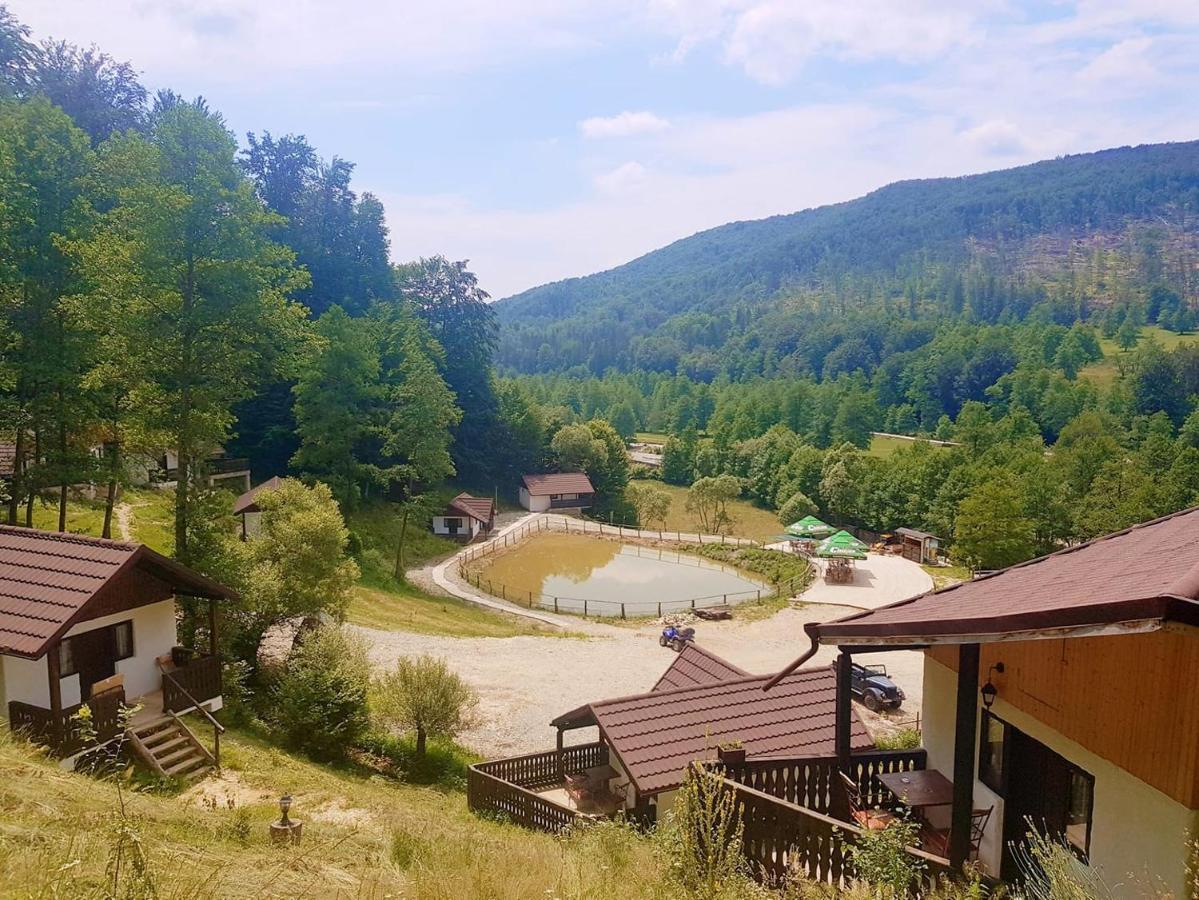 Hotel Satu Muscelean Albestii de Muscel Exteriér fotografie