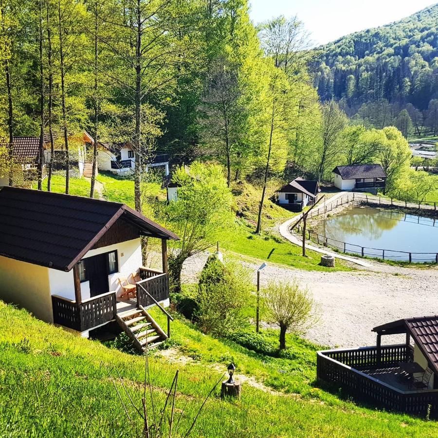 Hotel Satu Muscelean Albestii de Muscel Exteriér fotografie