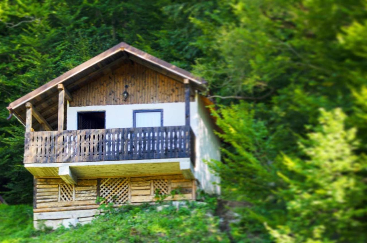 Hotel Satu Muscelean Albestii de Muscel Exteriér fotografie